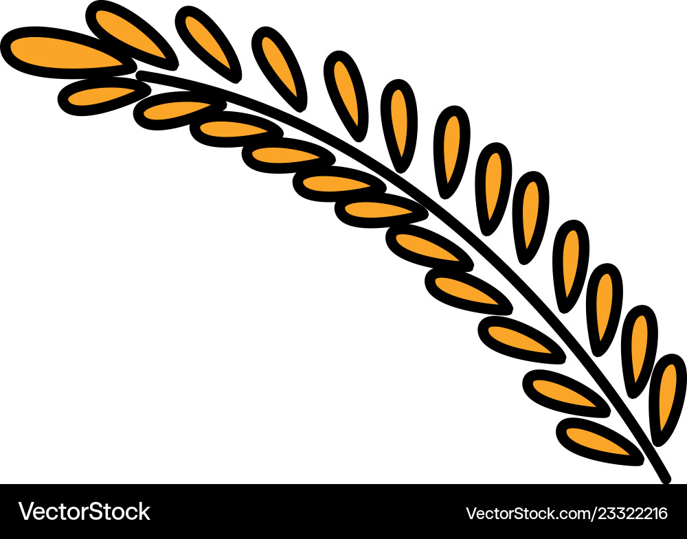 Wheat icon image Vector Image