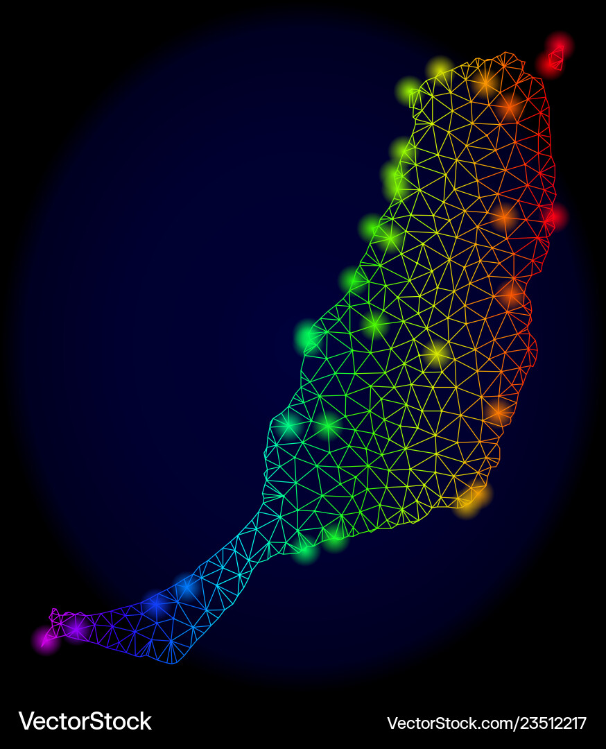Polygonal network color mesh map of fuerteventura Polygonal network color mesh map of fuerteventura vector image