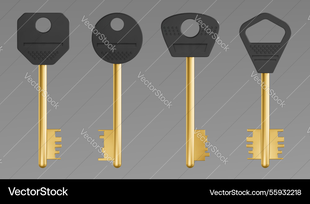 Golden skeleton keys set isolated on background Golden skeleton keys set isolated on background vector image