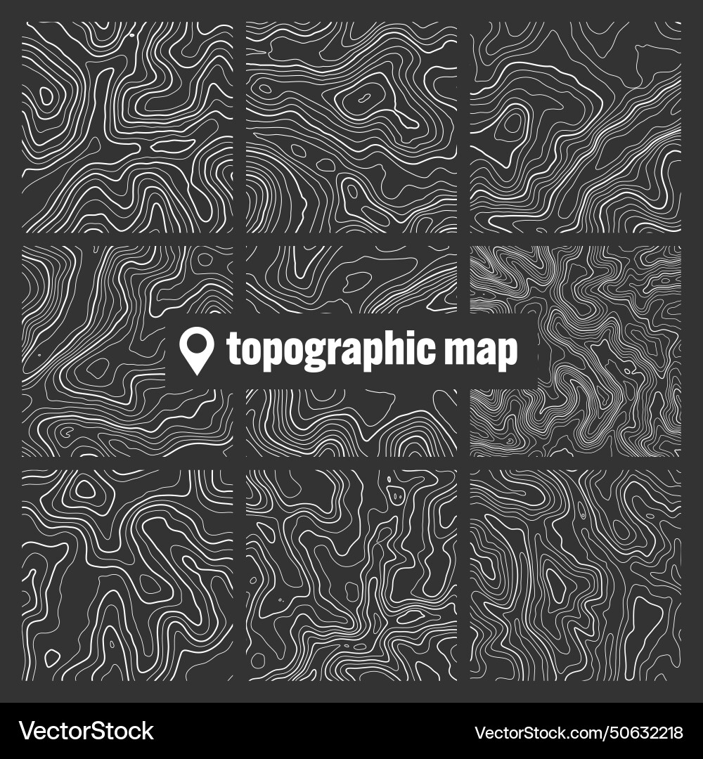 Topographic map with contour lines geographic Topographic map with contour lines geographic vector image