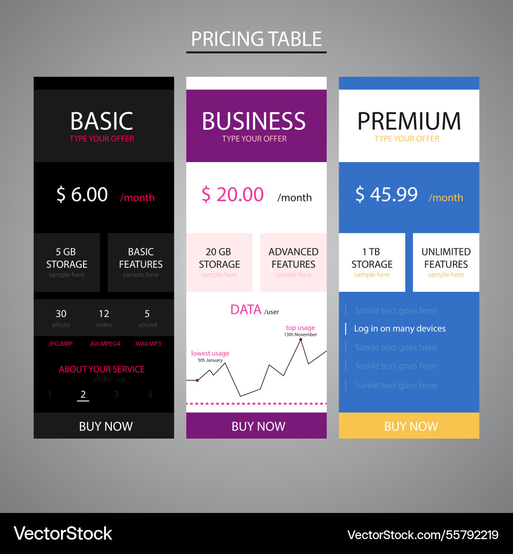 Different pricing tables web Vector Image