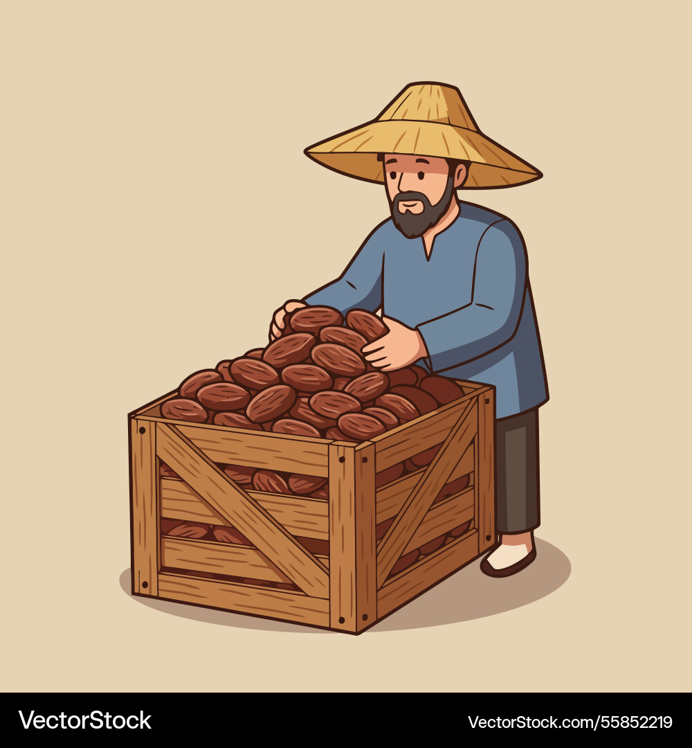 Man sorting harvested dates into wooden crate Vector Image