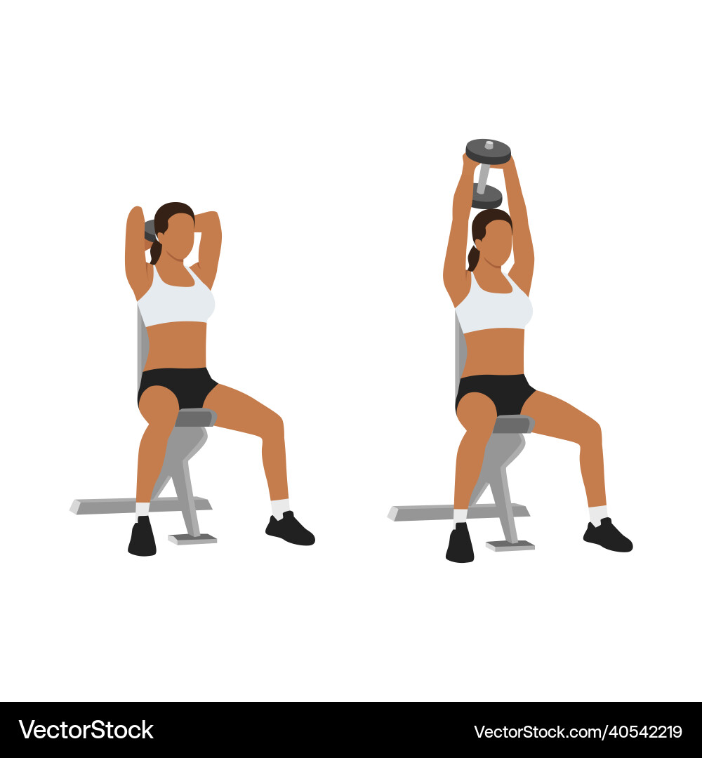 Seated tricep press overhead extensions exercise Seated tricep press overhead extensions exercise vector image