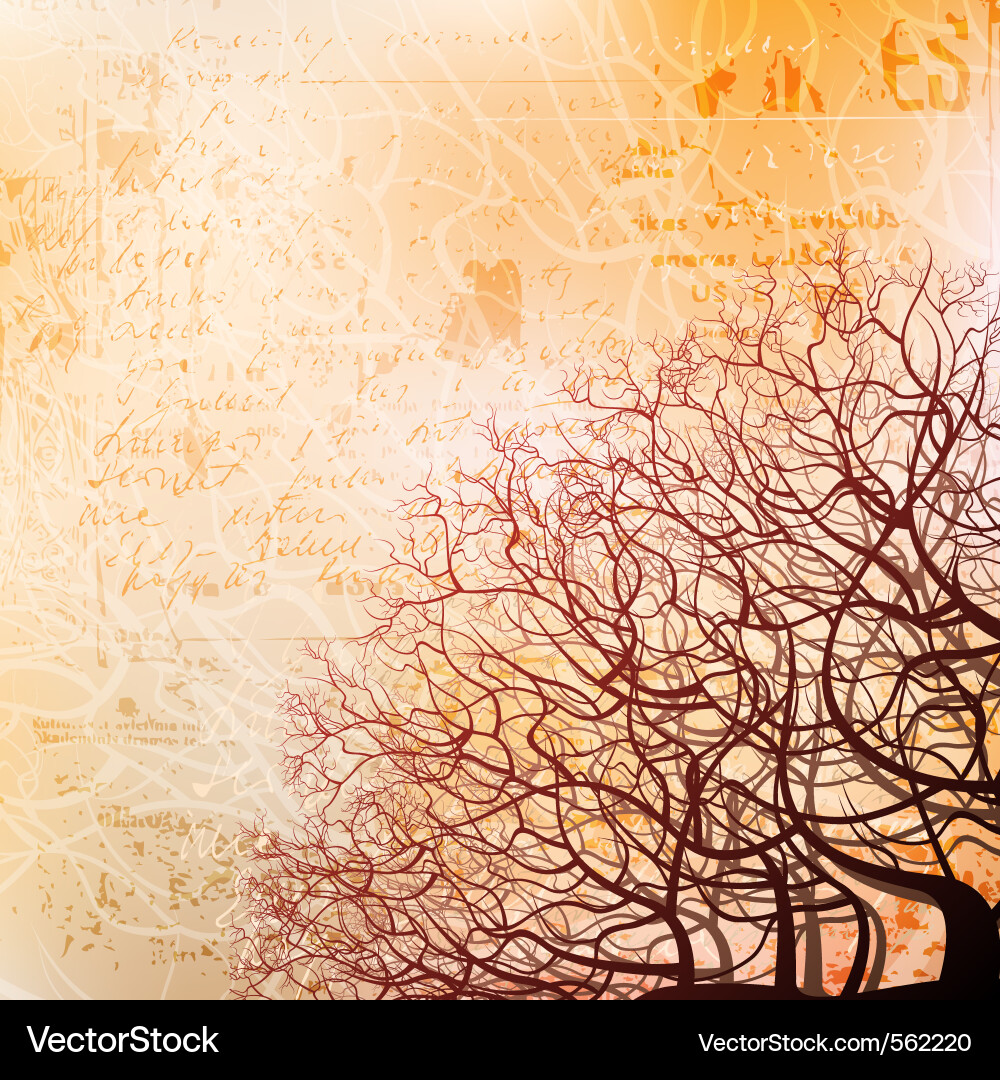 Rustic Tree Texture Background vector image
