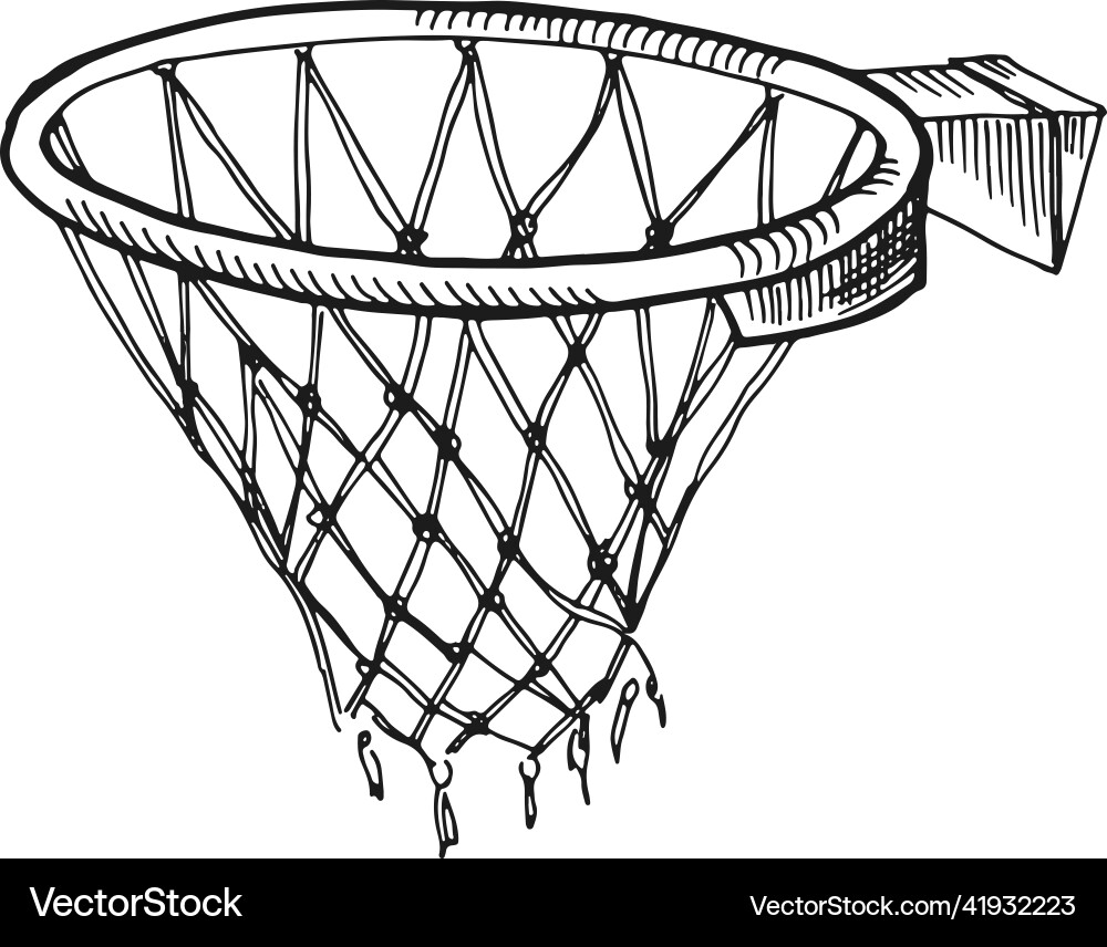 Basketball Net Sketch vector image