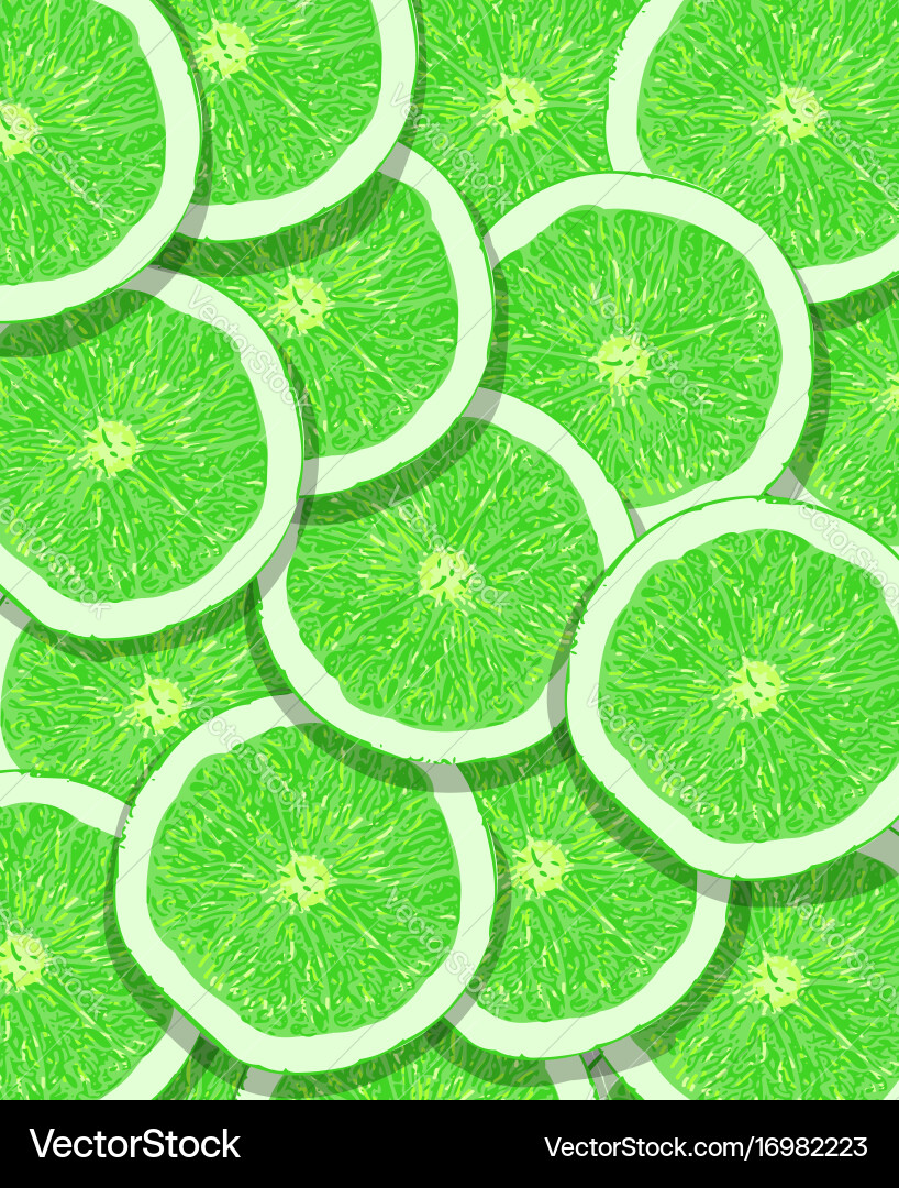 Citrus texture background with slices of lemon Vector Image