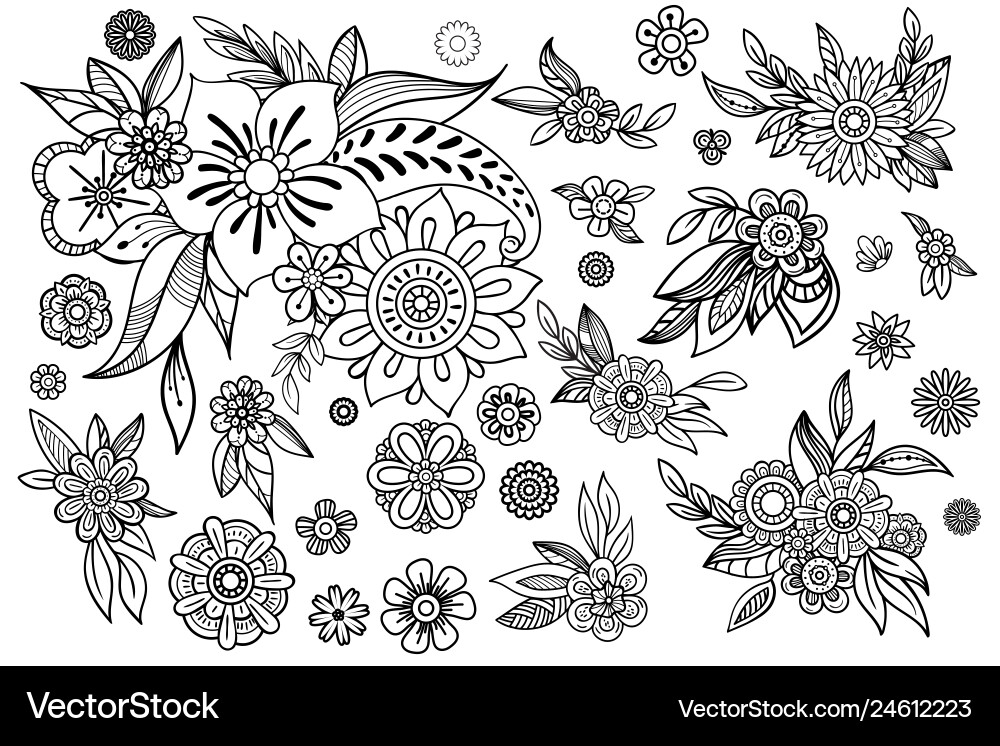 Floral Doodles & Leaves Vector Image