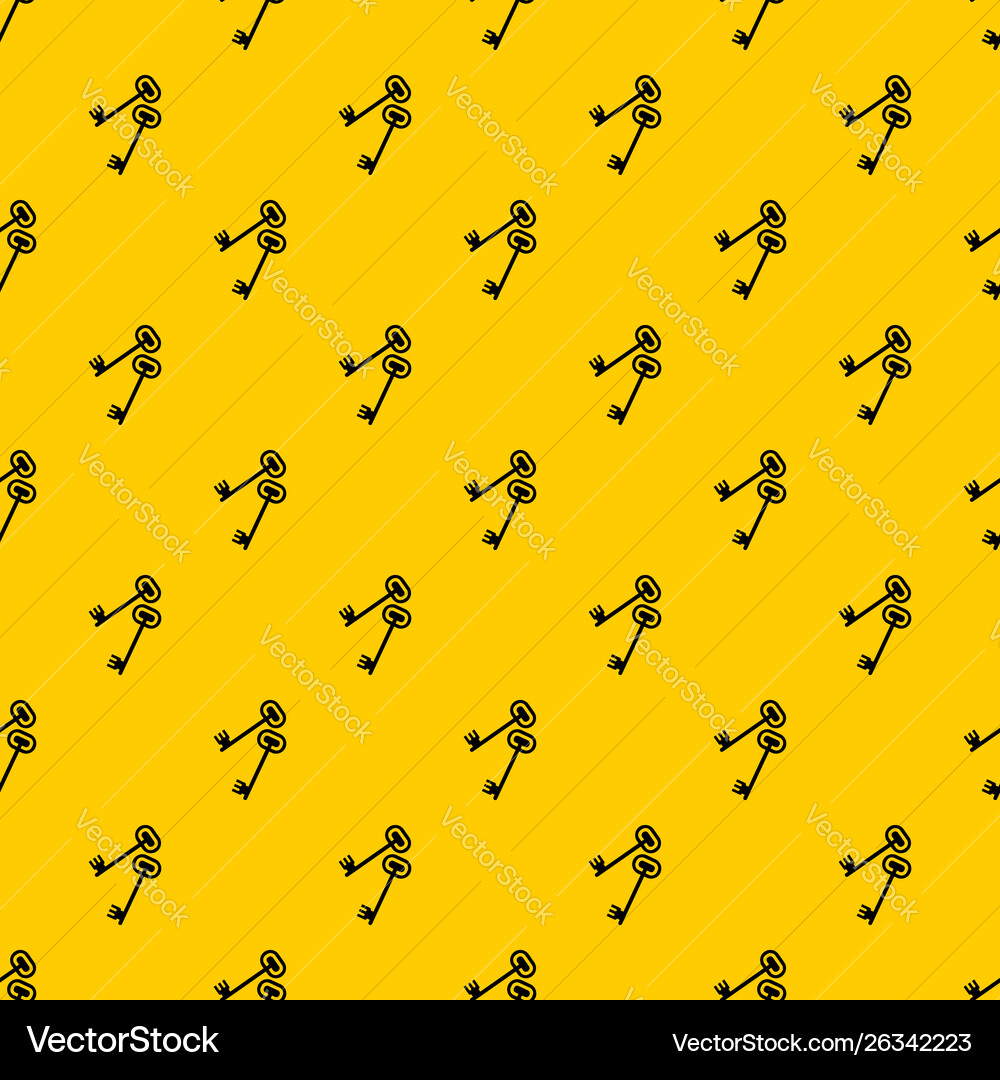 Keys pattern vector image