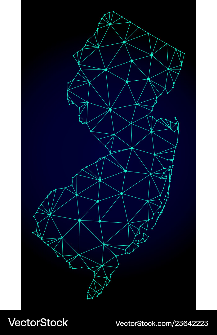 Polygonal network mesh map of new jersey Polygonal network mesh map of new jersey vector image