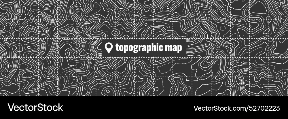 Topographic map with contour lines geographic Topographic map with contour lines geographic vector image