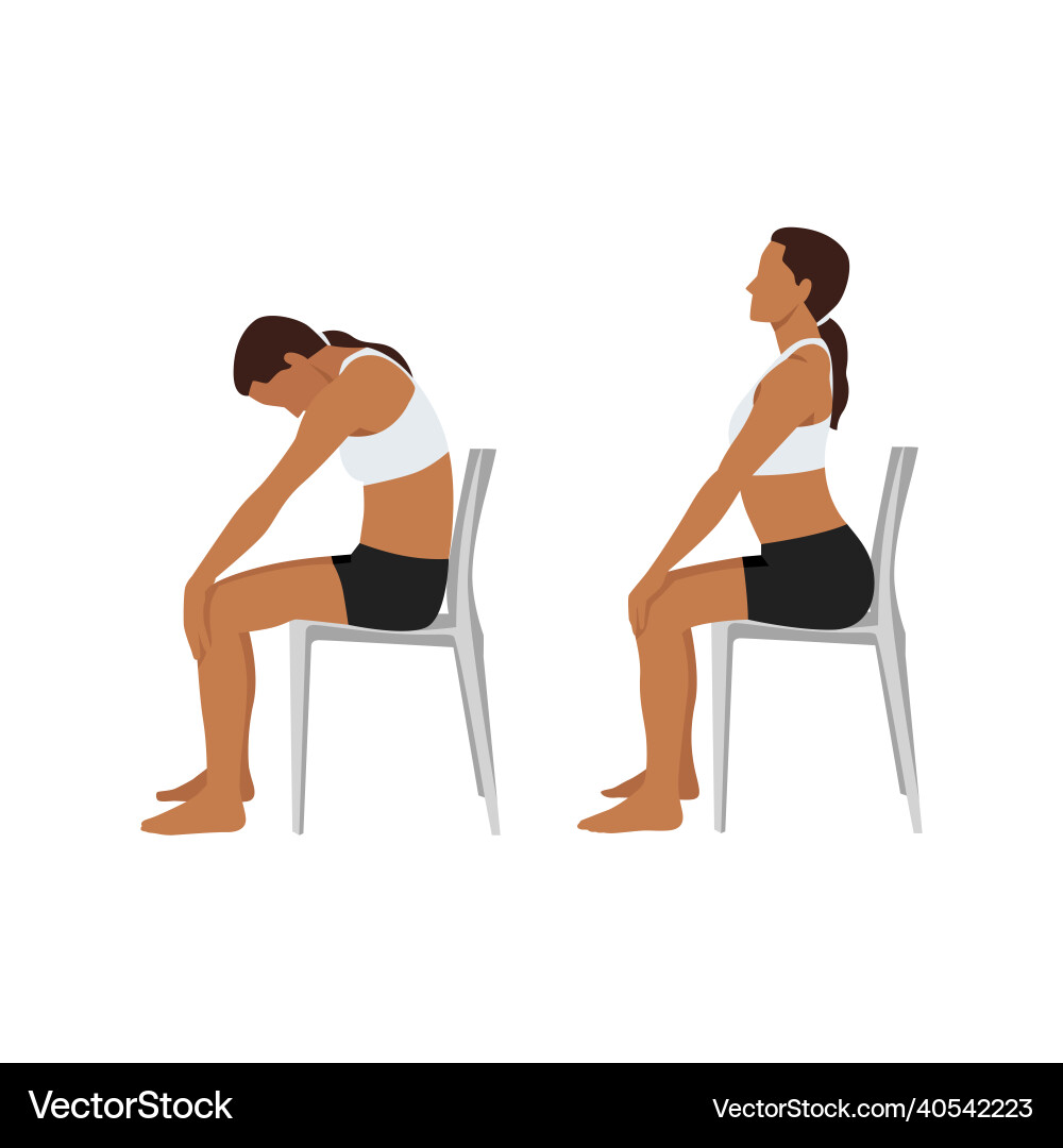 Woman doing yoga chair cat cow stretch exercise vector image