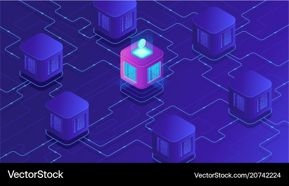 Blockchain Data Network vector image