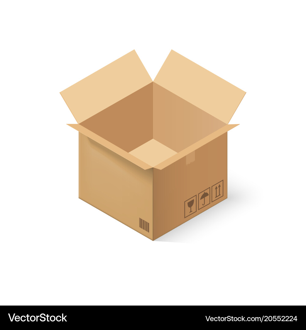 Empty cardboard box opened isolated vector image