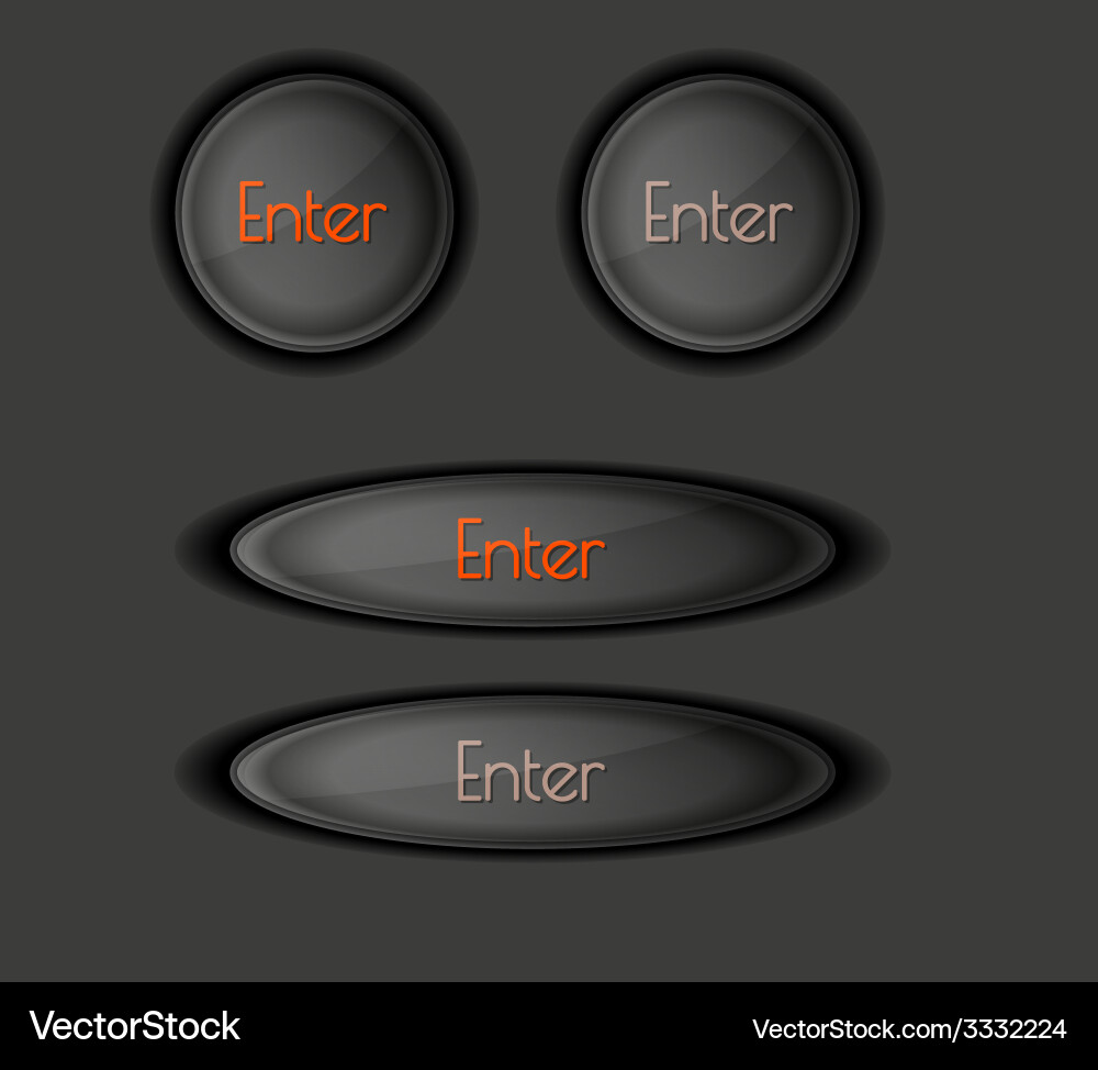 Enter button Vector Image