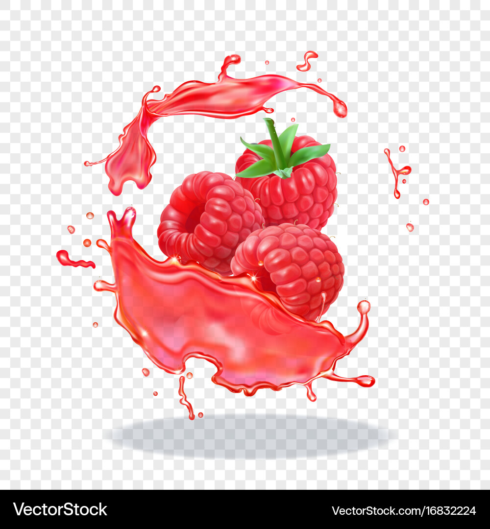 Fresh Raspberry Juice Splash vector image