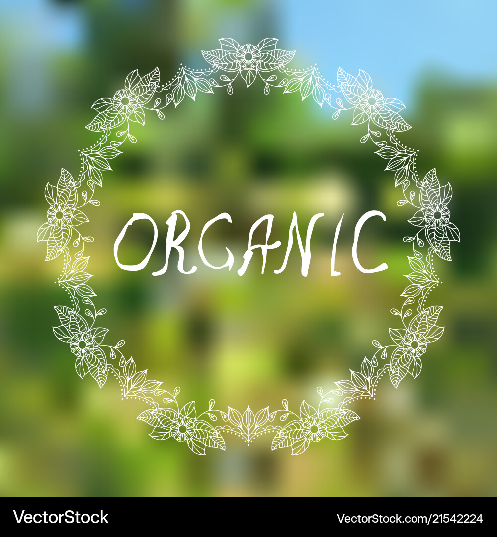 Organic hand sketched typographic elements Organic hand sketched typographic elements vector image