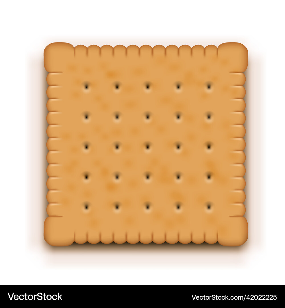 3d rectangle realistic butter biscuit with shadow vector image