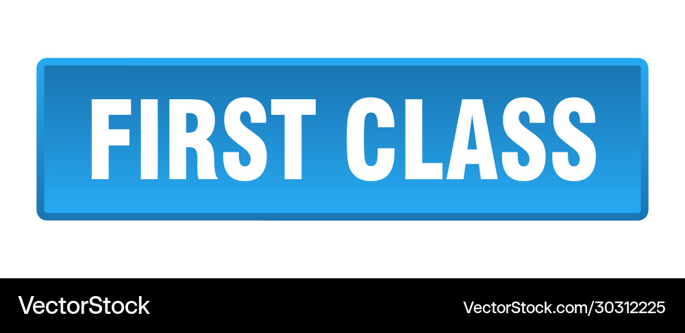 First class button square blue push Vector Image