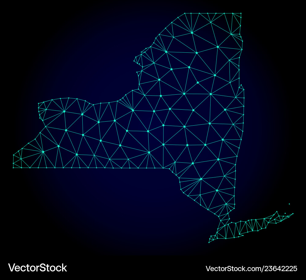 Polygonal network mesh map of new york Polygonal network mesh map of new york vector image