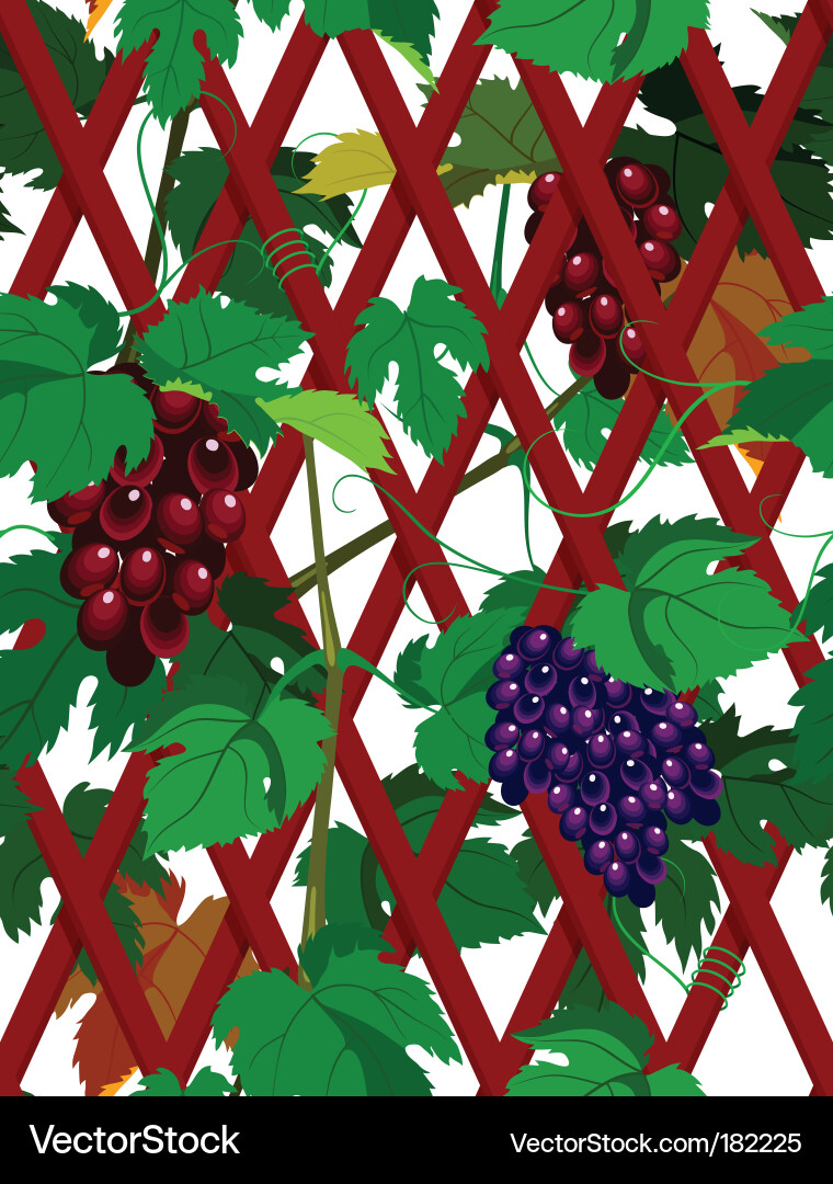 Seamless grapevine Vector Image