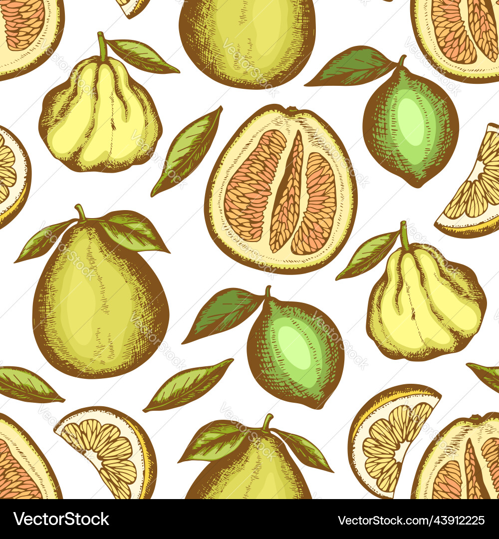 Seamless pattern with lemon and grapefruit vector image