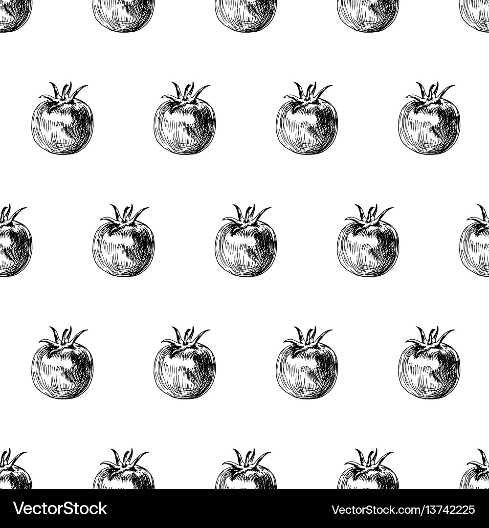 Tomato Pattern - Retro Background Vector Image