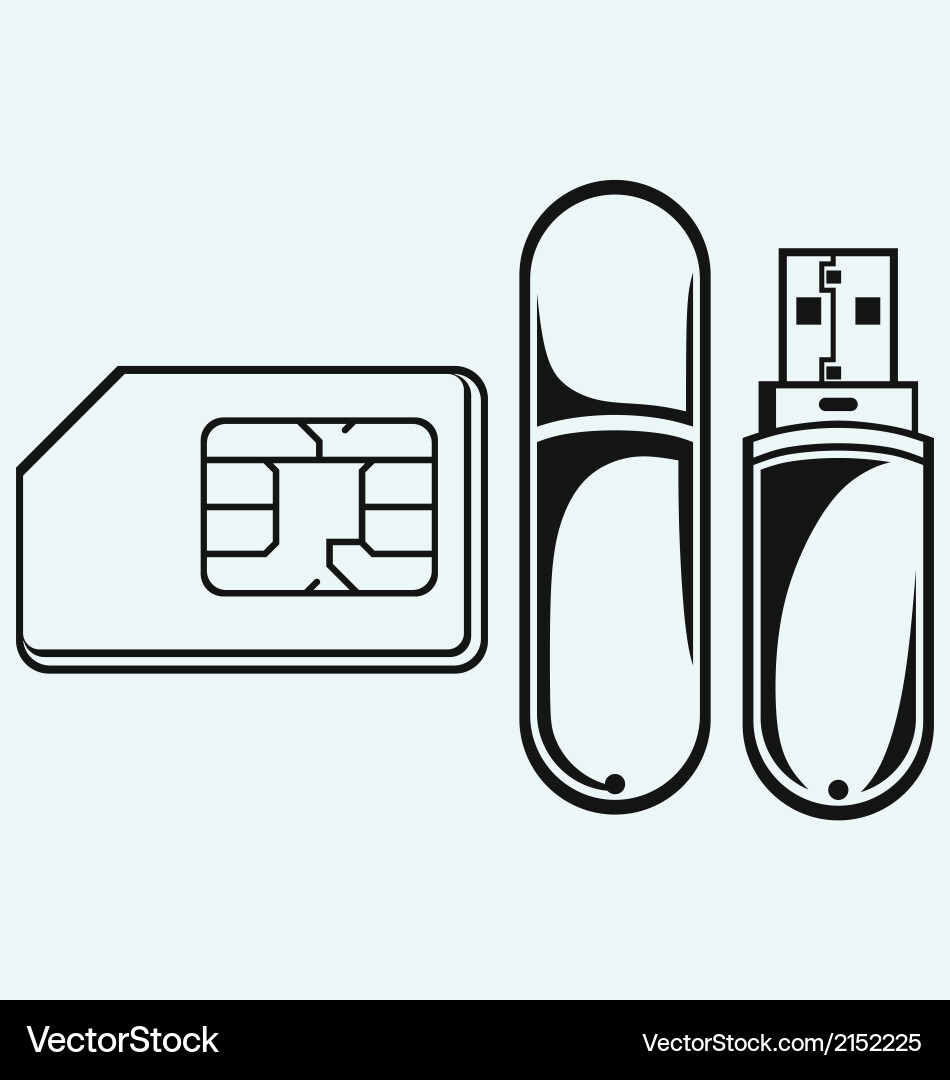 Usb flash memory and mobile phone sim Vector Image
