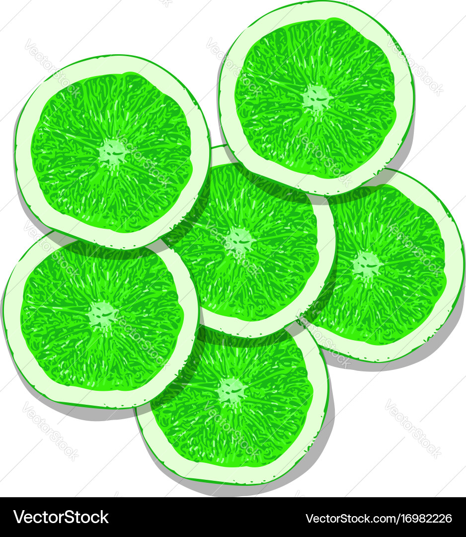 Citrus texture background with slices of lemon Vector Image