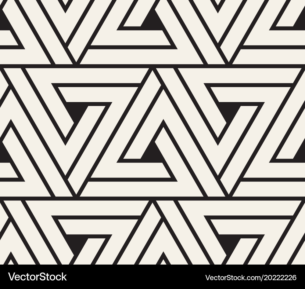 Modern Triangle Pattern vector image