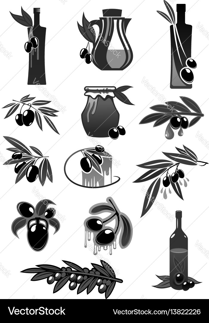 Olives olive oil bottles and pitchers vector image