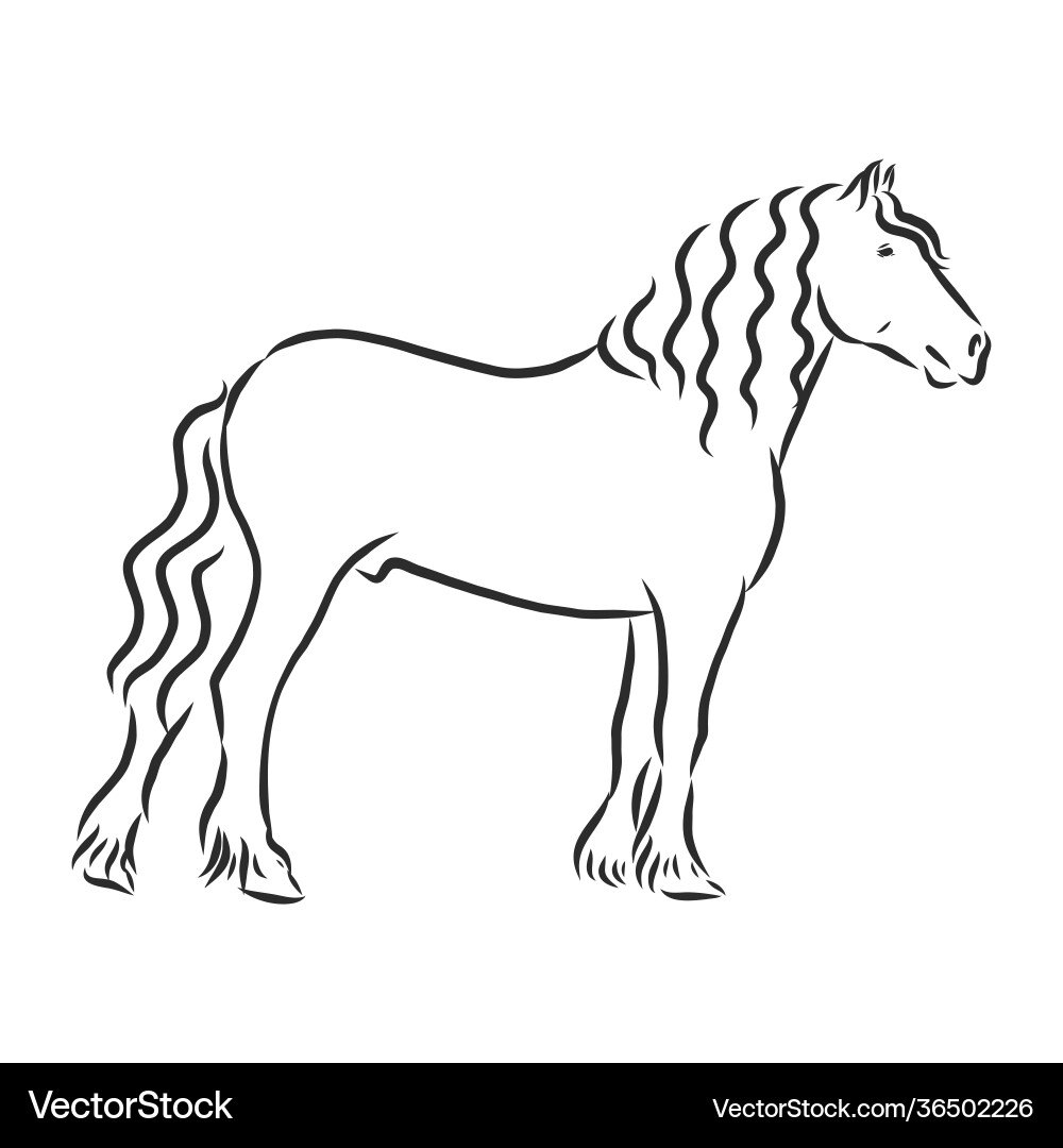Prancing Heavy Horse Silhouette Vector Image