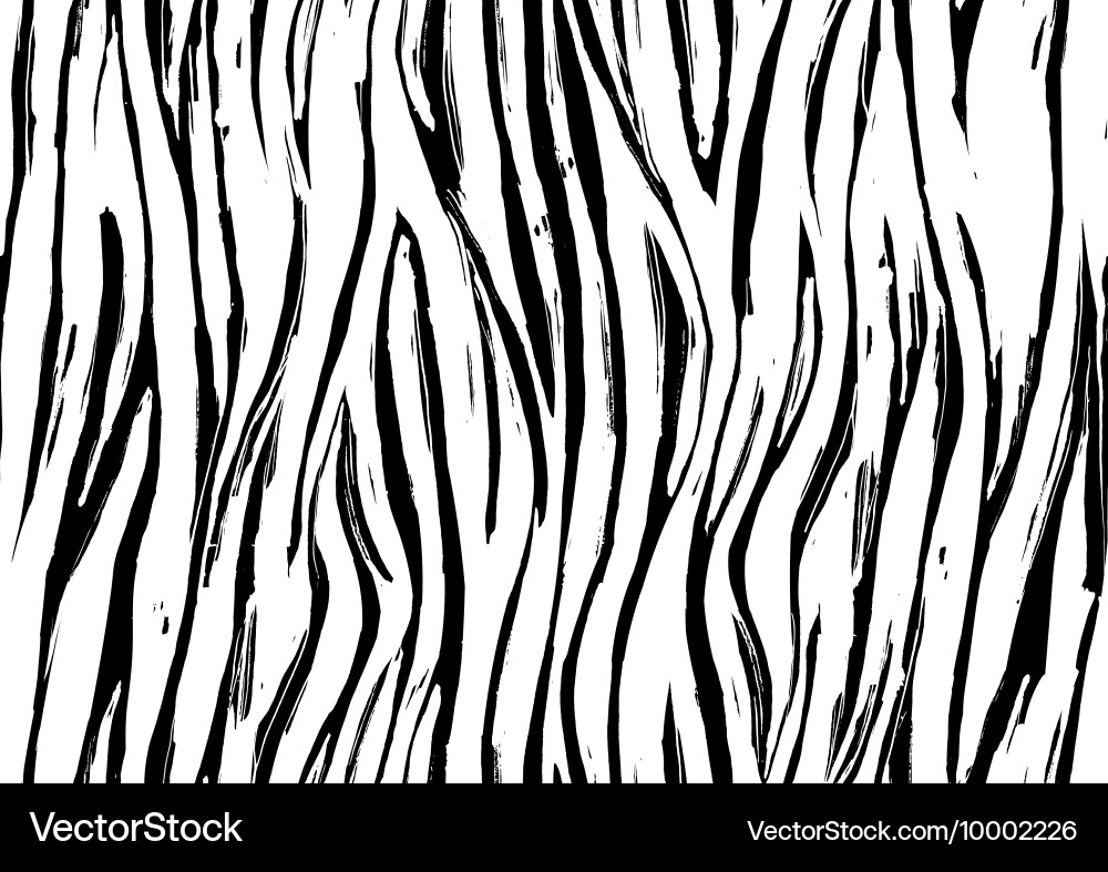 Zebra Print Seamless Pattern vector image