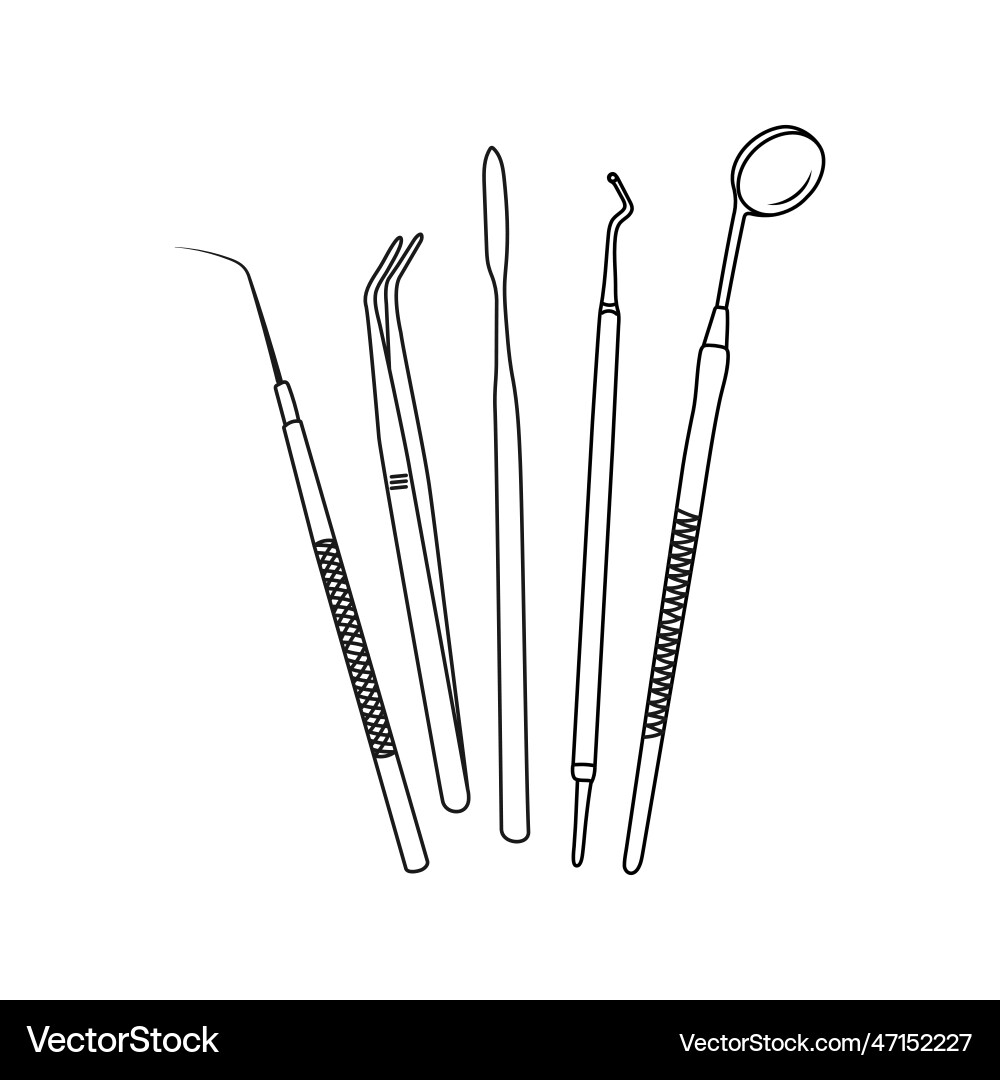 Dental instruments line art drawing Vector Image