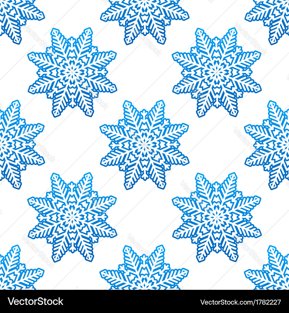Winter Snowflake Pattern vector image