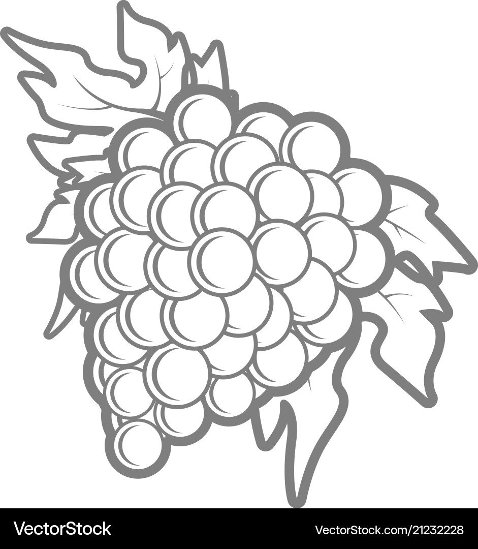 Outline of bunch grapes in simple style vector image