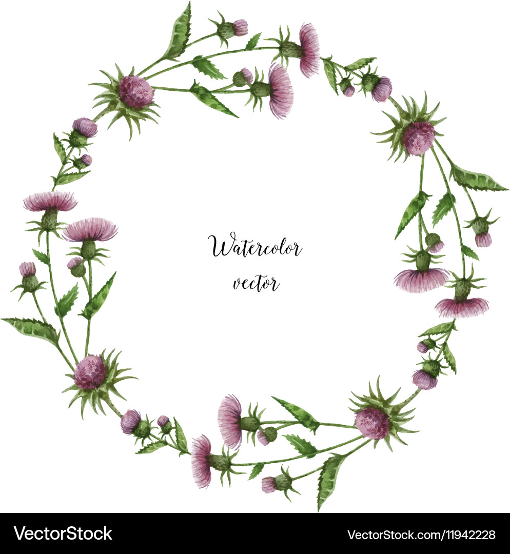 Watercolor Milk Thistle Frame vector image