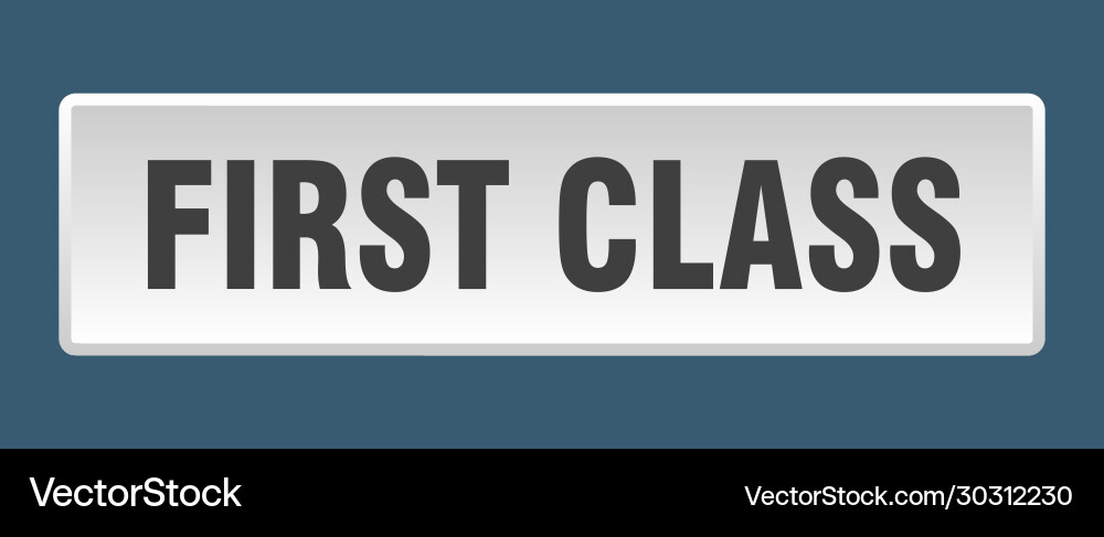 First class button square white push vector image