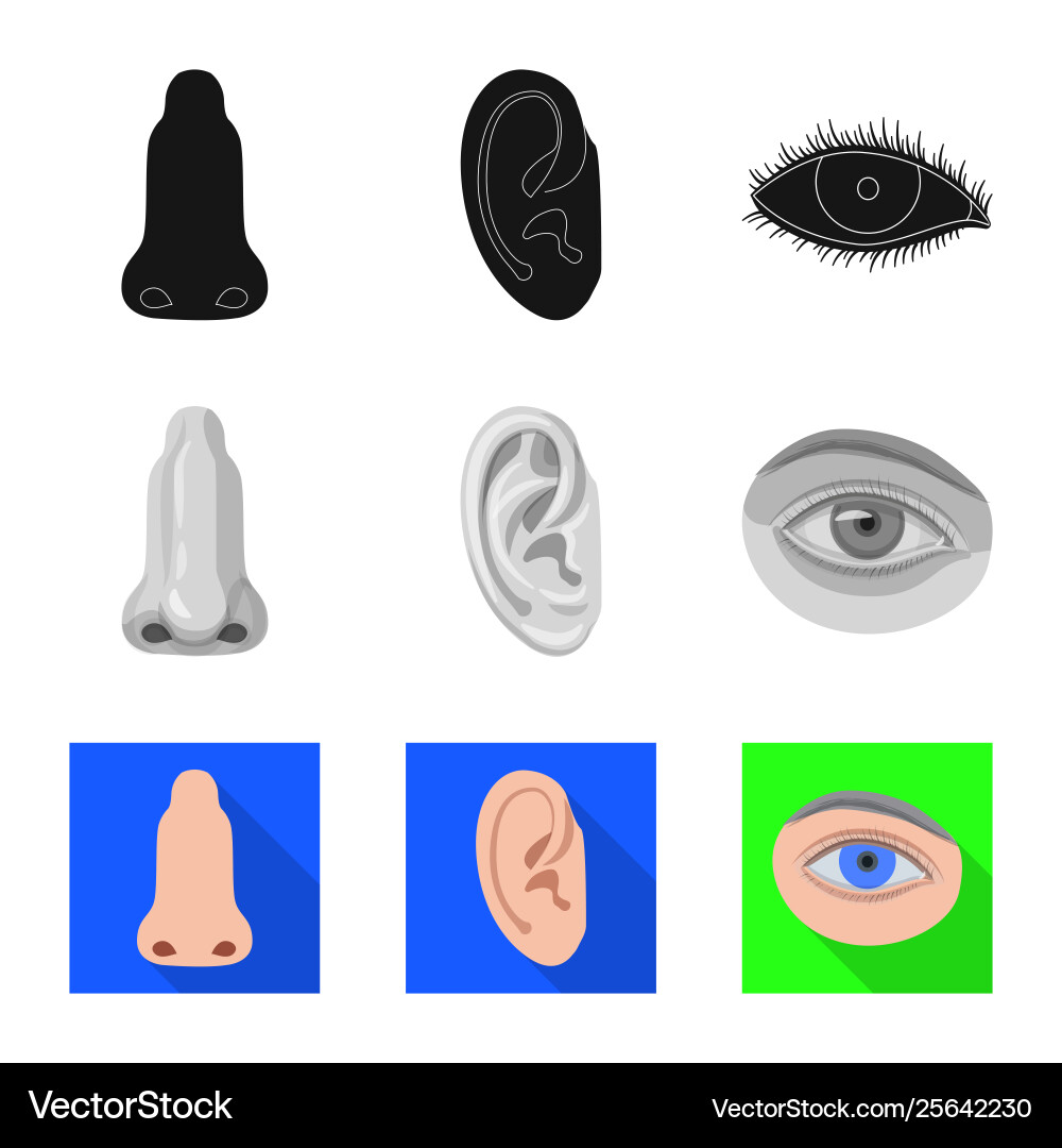 Isolated object human and part sign collection Vector Image
