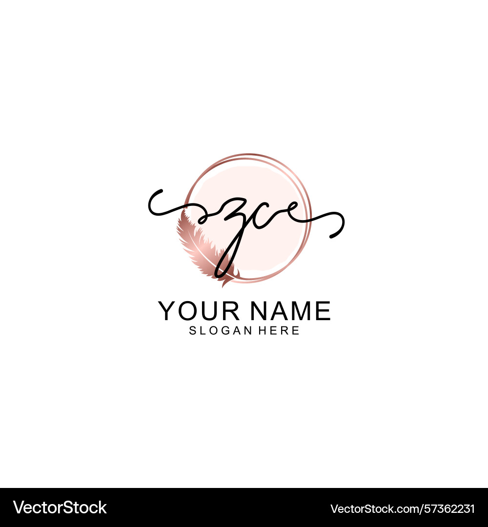 Handwritten zc initial logo with circle Vector Image