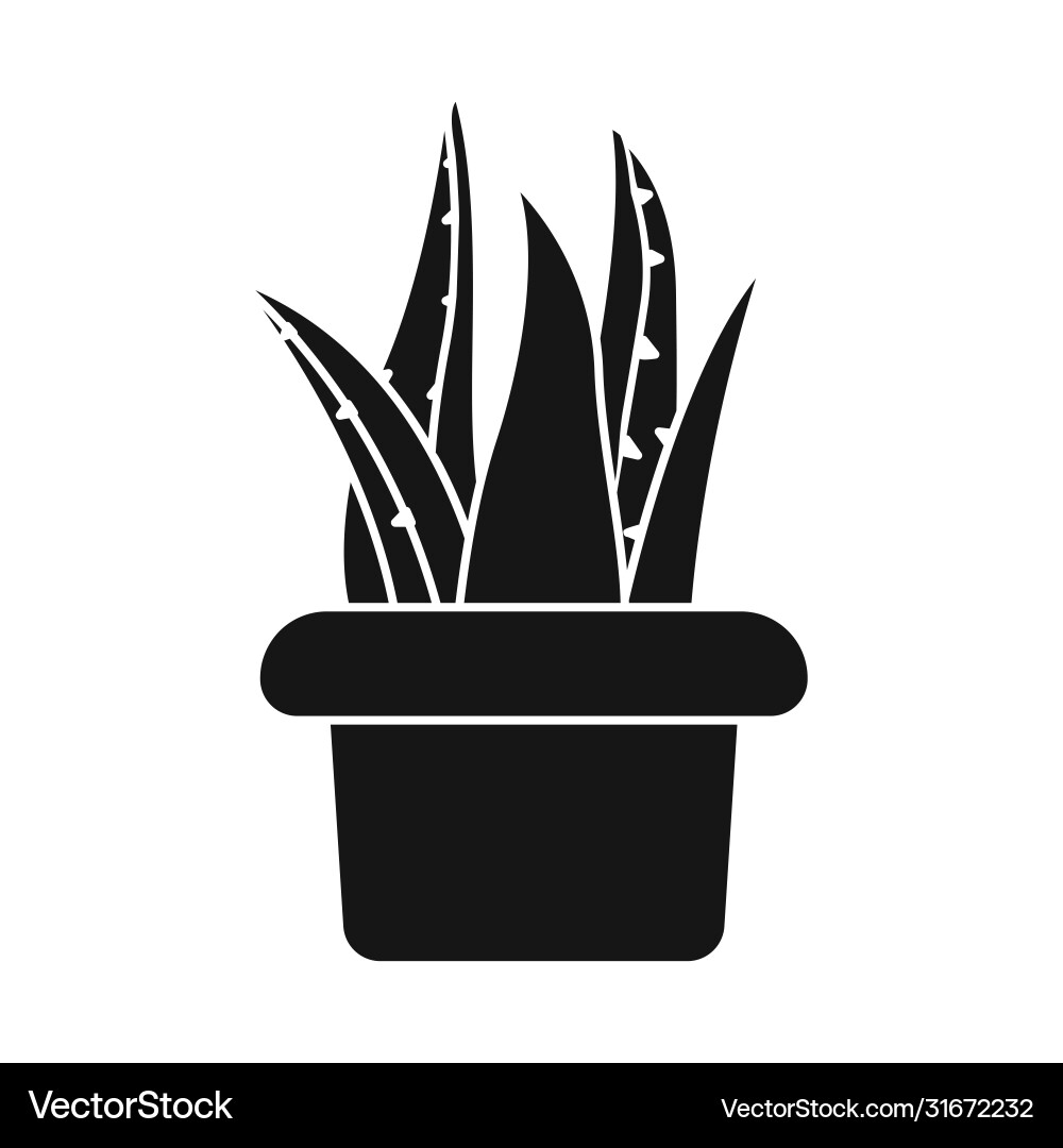 Design aloe and pot symbol web element Vector Image