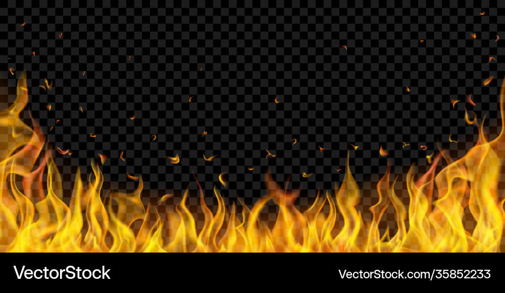 Background fire flames vector image