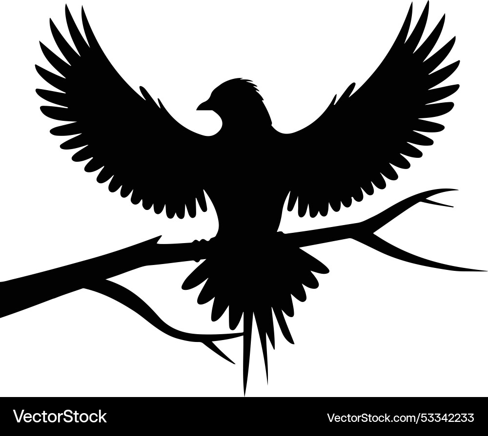 Create and simple black bird design Vector Image