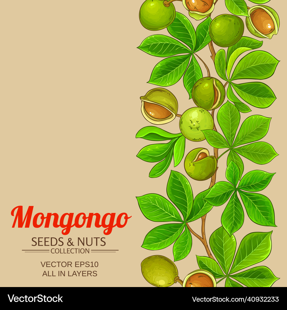 Mongongo branches pattern on color vector image