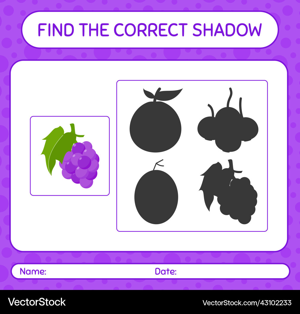 Shadow Matching Game - Grape Theme vector image