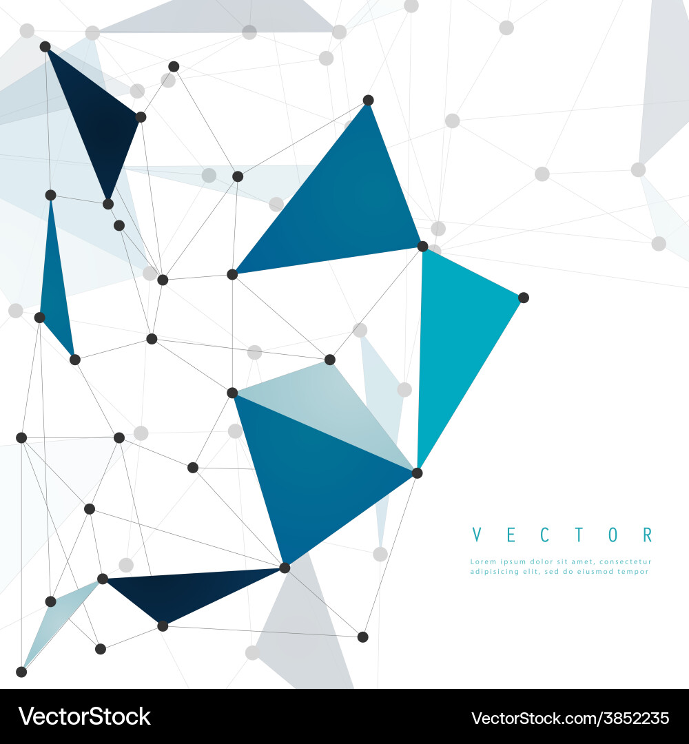 Abstract Network Polygon Background vector image