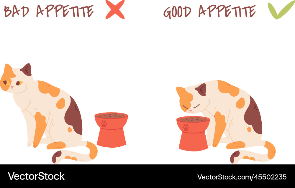Katze Appetit Picky zu füttern kitten schlecht oder gut Katze Appetit Picky zu füttern kitten schlecht oder gut vektorbild