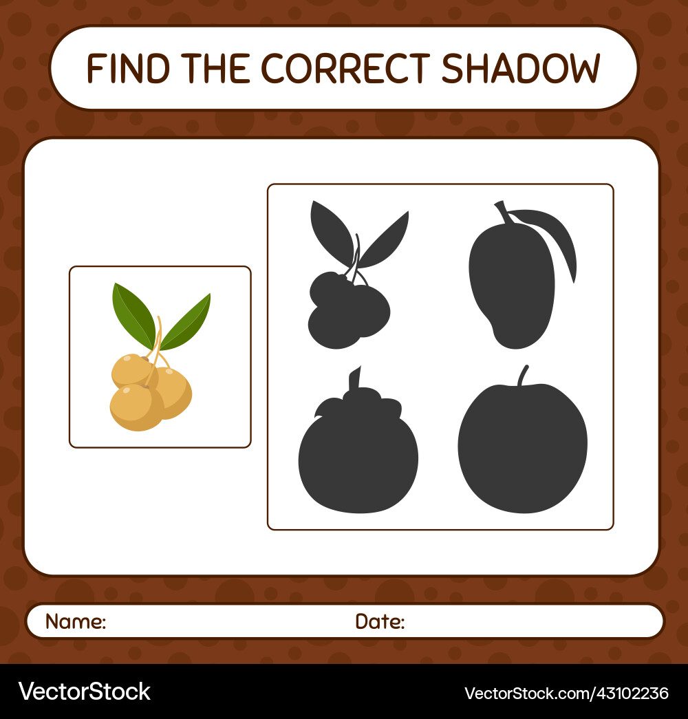 Find the correct shadows game with longan Find the correct shadows game with longan vector image
