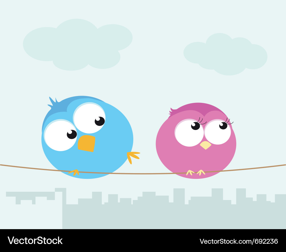 Flirting birds Vector Image
