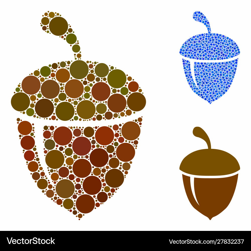 Acorn composition icon circles vector image