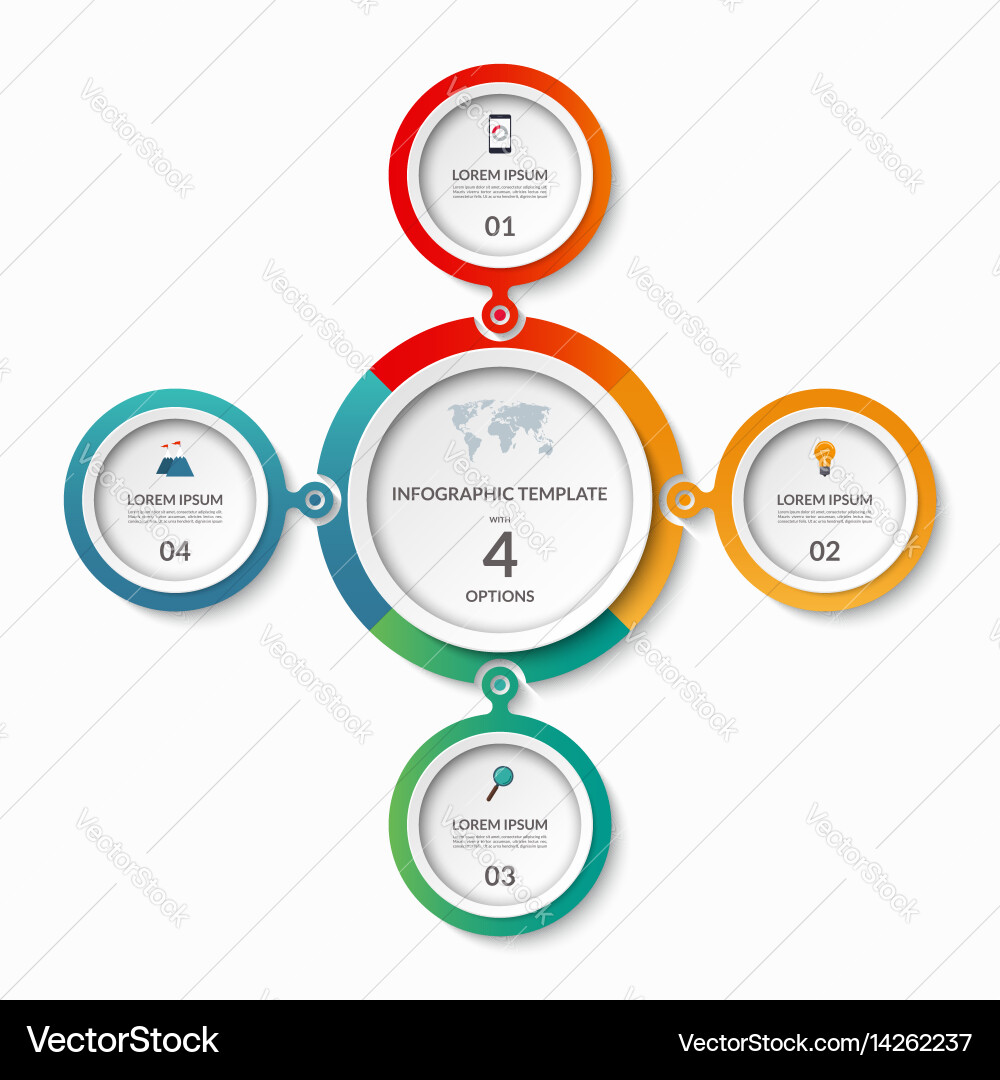 Circular Option Template - Workflow Layout Vector Image